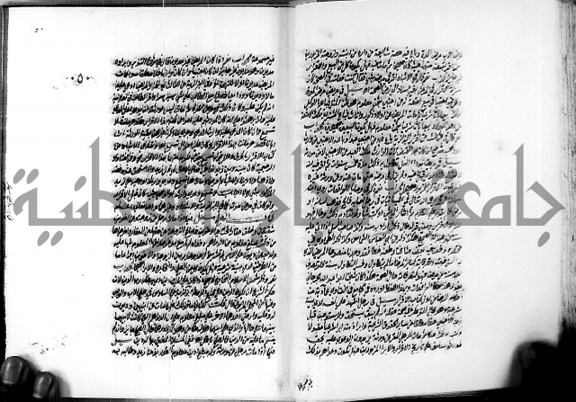 الجواهر الدورية في تنقيح الفتاوى الحامدية ج2 