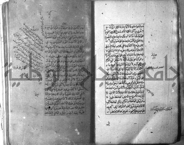 شرح الشافية 