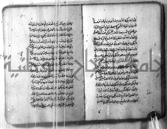 التفنن في الصرف