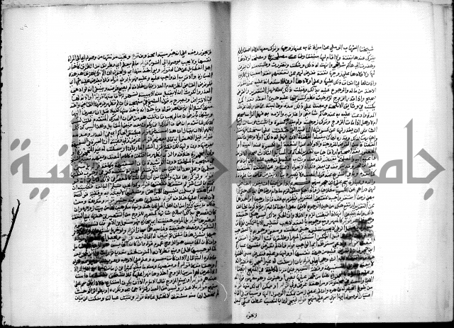 مجهول فقة 55