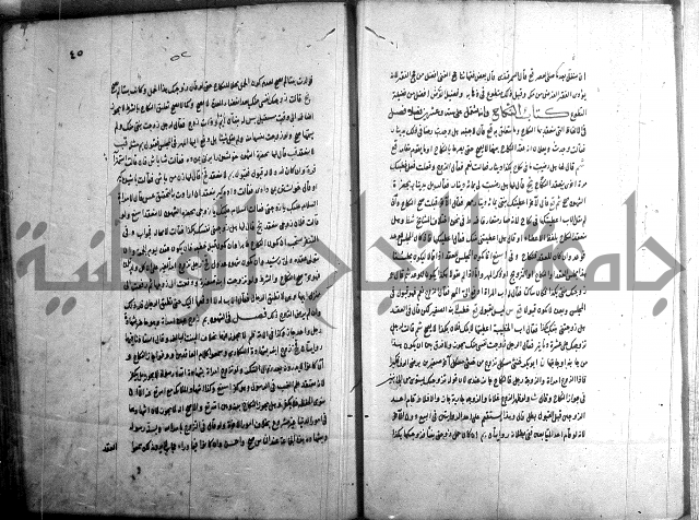 حاوي مسايل المنيه