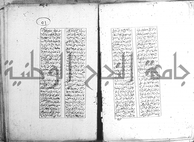 خلاصة التنوير 