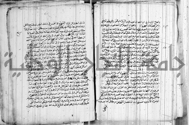 المجالس السنية