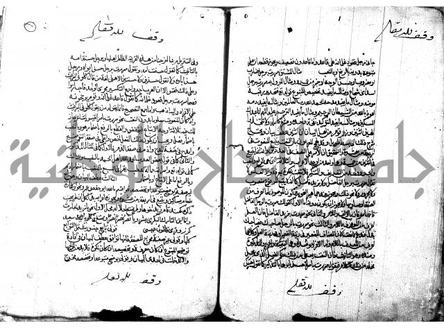 شرح شذور الذهب لابن هشام