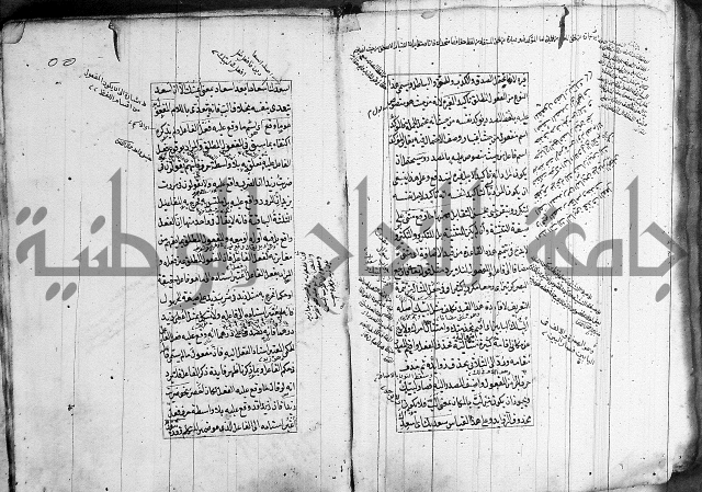 فوائد على الكافية 