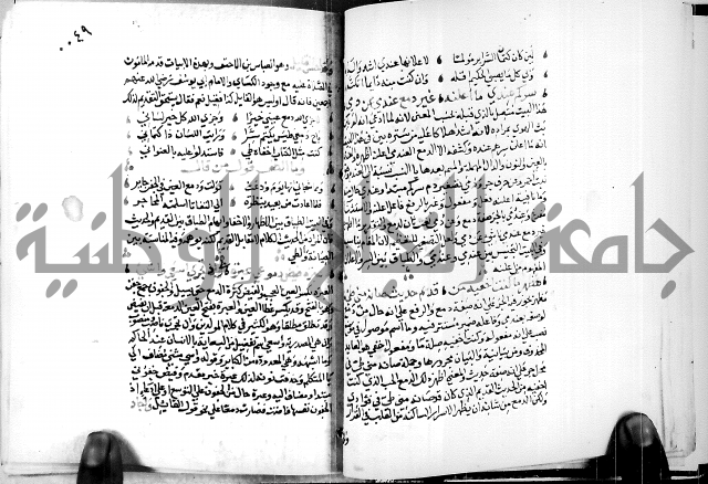 البحر الفائض في شرح ديوان ابن الفارض البوريني 