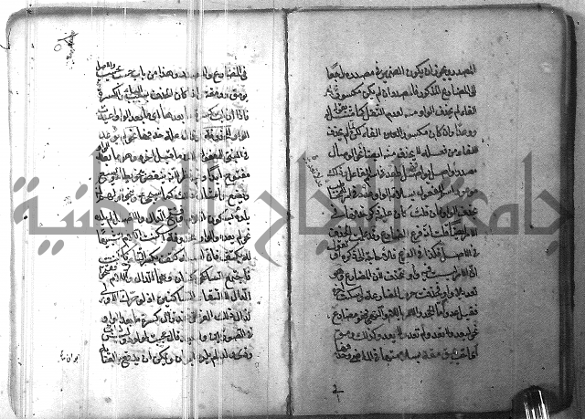 التفنن في الصرف