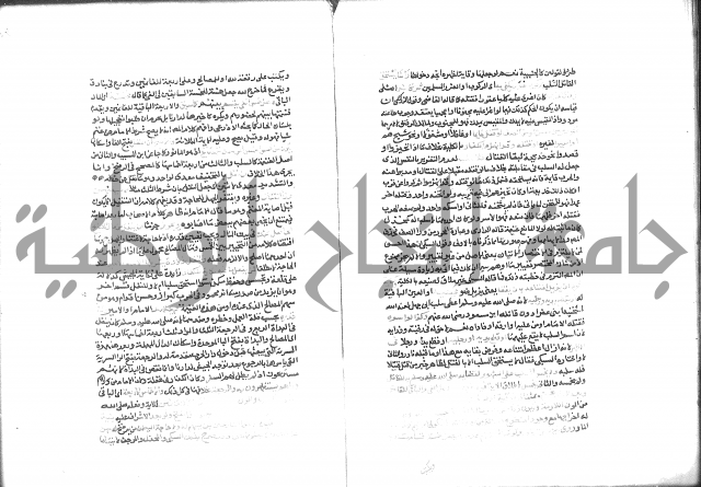 شرح الرملي 3