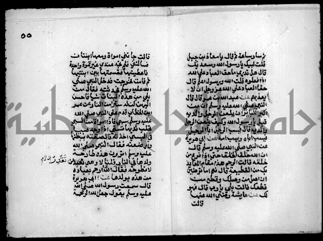 مختصر صحيح البخاري = جمع النهاية في بدء الخير والغاية