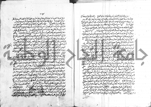 كتاب في اللغة العربية