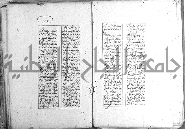 خلاصة التنوير 