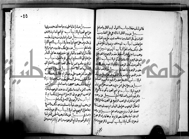 الفتاوى الامينية