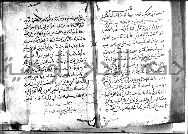 ديوان الصرصري