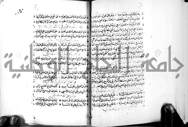 البحر الفائض في شرح ديوان ابن الفارض البوريني 