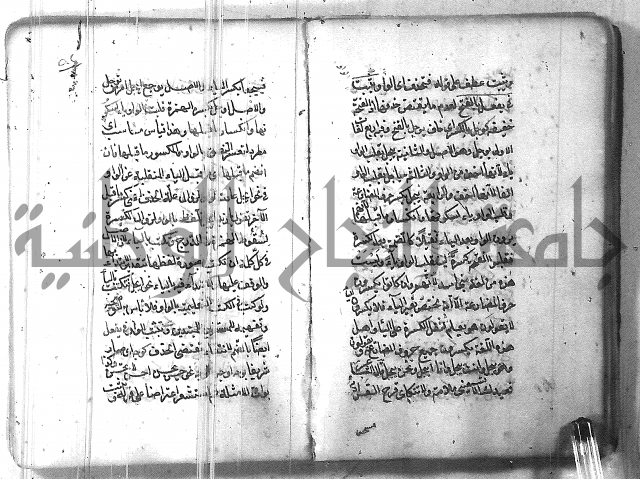 التفنن في الصرف