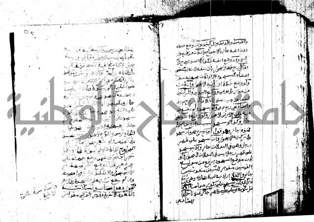 منية المصلي للنصراوي