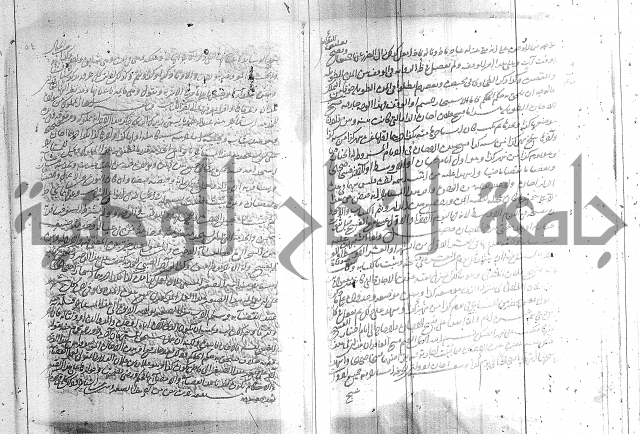 البسيط في الشروط