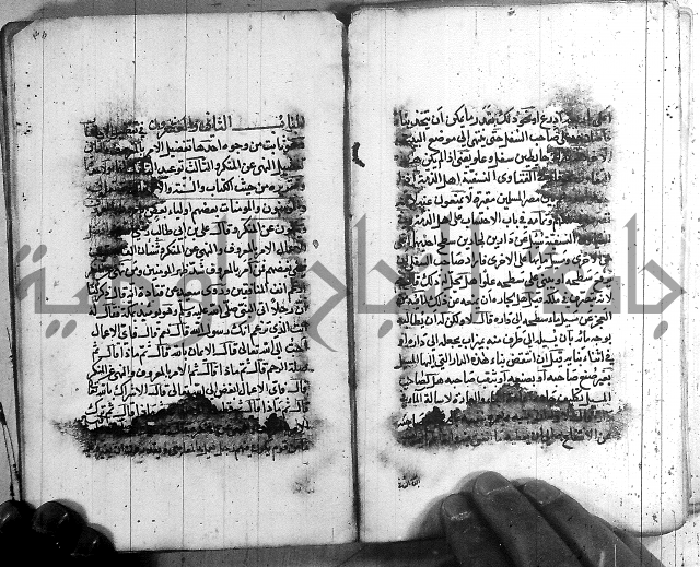 رسالة في الاحتساب