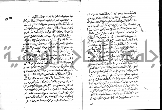 تحفة بن عبد مناف