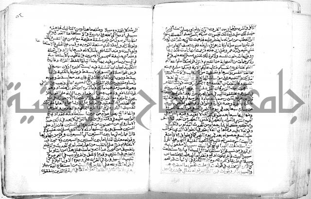 الفتوحات الالاهية