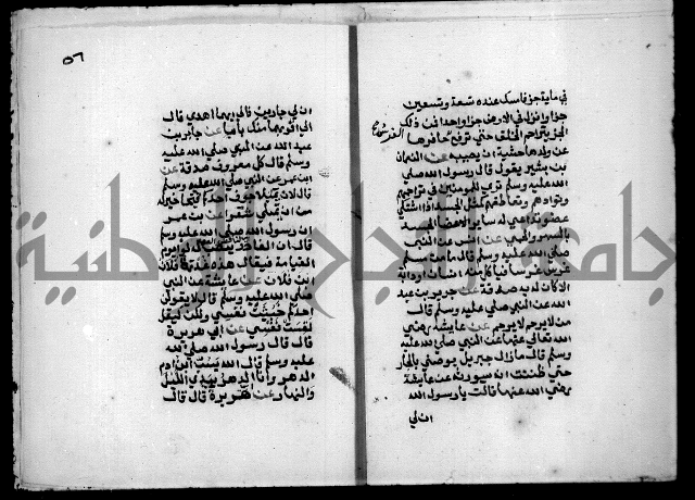 مختصر صحيح البخاري = جمع النهاية في بدء الخير والغاية