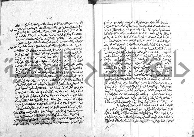 كتاب في اللغة العربية