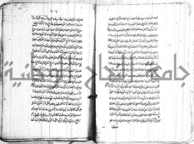 الانتاج المؤلف 