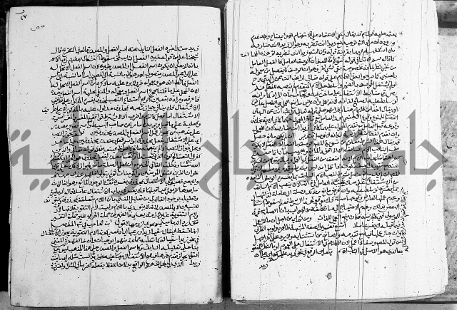 كتاب في اللغة