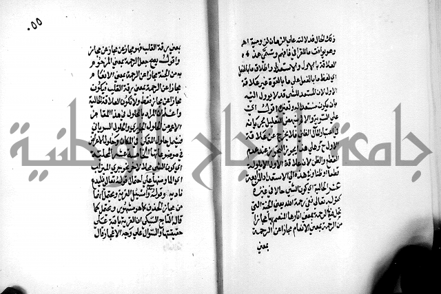 الرسالة البيانية
