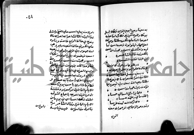 شرح شذور الذهب في معرفة كلام العرب 