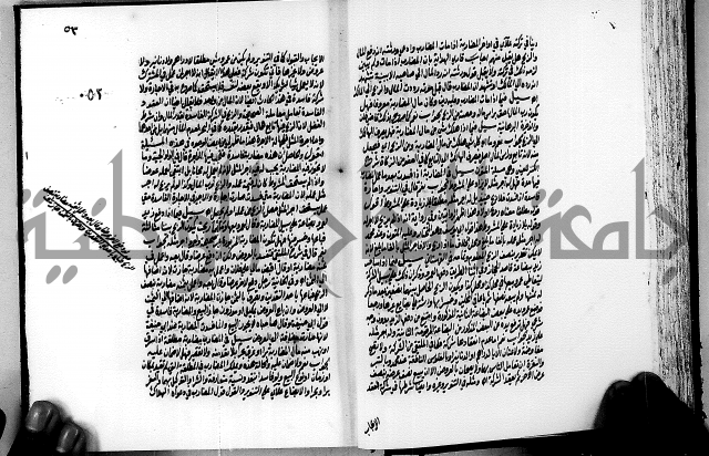 الجواهر الدورية في تنقيح الفتاوى الحامدية ج2 