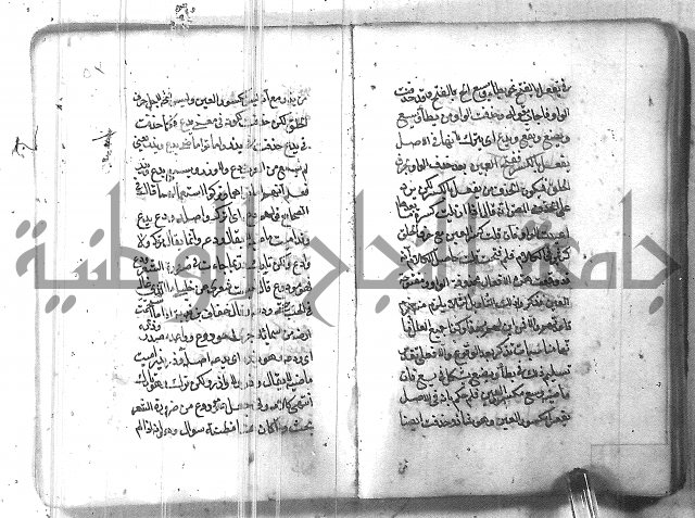 التفنن في الصرف