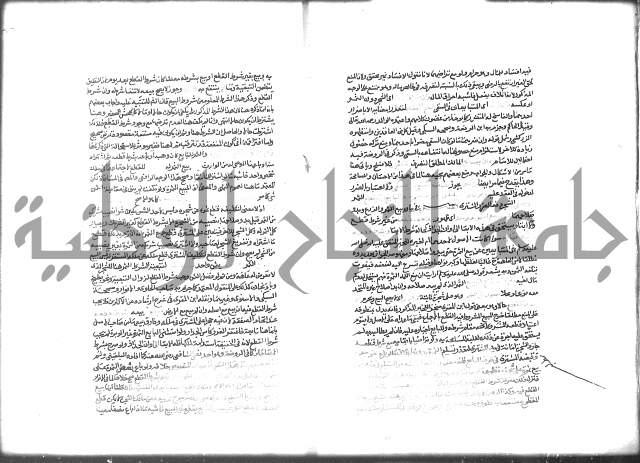 شرح الرملي 2