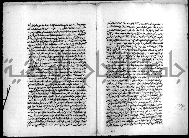 مجهول فقة 55