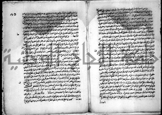 حاشية السجاعي على شرح قطر الندى وبل الصدى لابن هشام