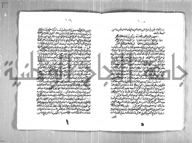 حاشية السجاعي على شرح قطر الندى وبل الصدى لابن هشام