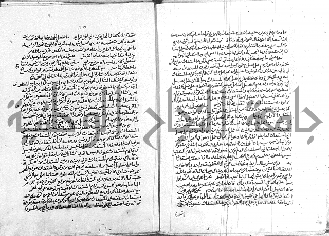 كتاب في اللغة العربية