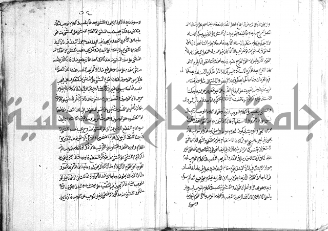 الانتاج المؤلف 