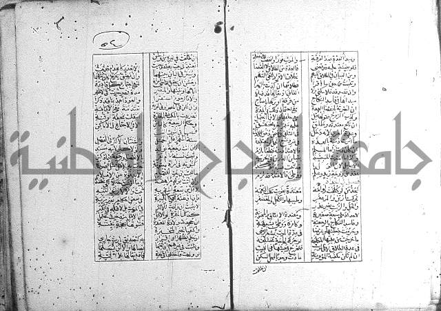 خلاصة التنوير 