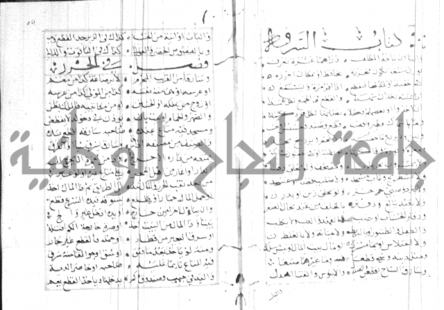 نظم كنز الدقائق