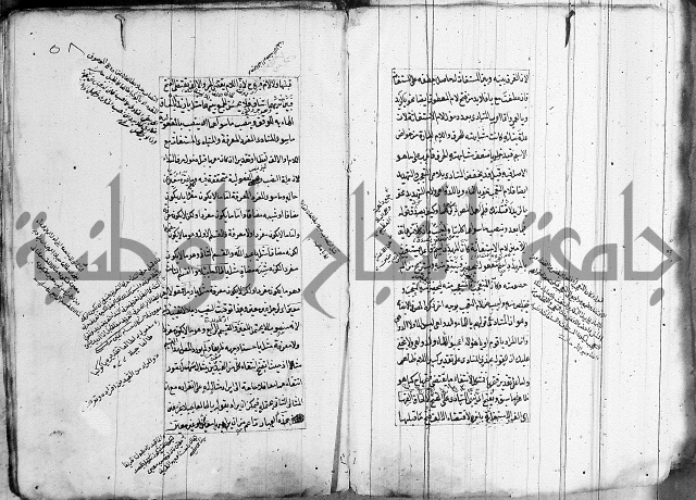 فوائد على الكافية 