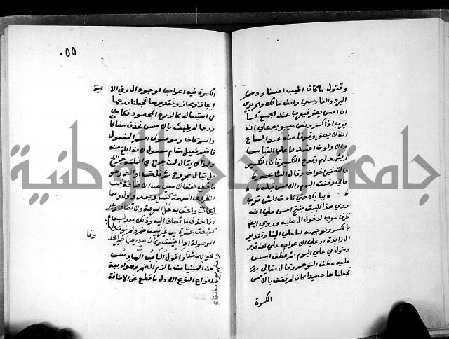 شرح شذور الذهب في معرفة كلام العرب 