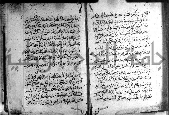 ديوان الصرصري