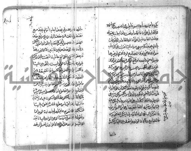 التفنن في الصرف