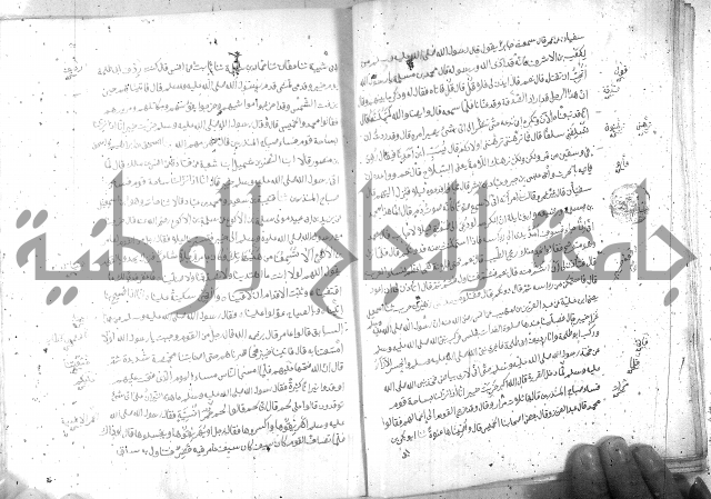 صحيح مسلم ج 2 