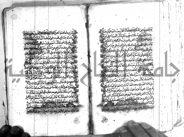 رسالة في الاحتساب