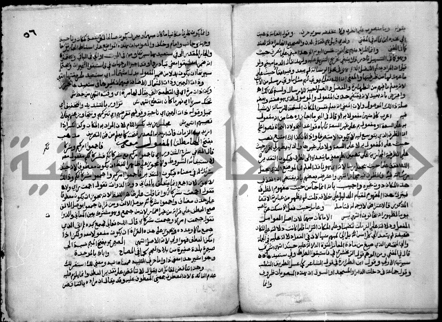 حاشية السجاعي على شرح قطر الندى وبل الصدى لابن هشام