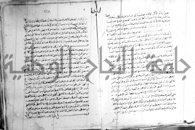 السنباطي على المحلي