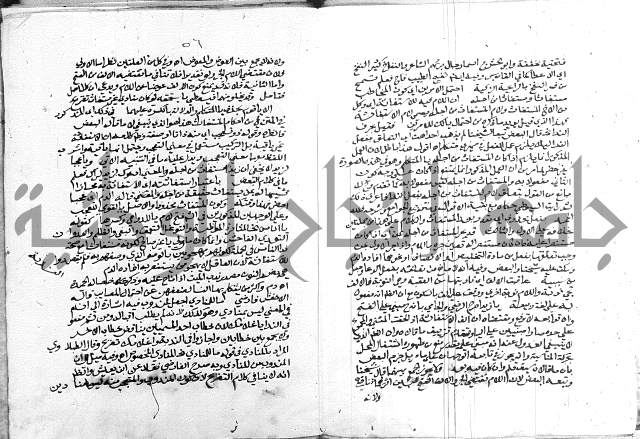 كتاب في اللغة العربية