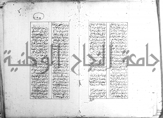 خلاصة التنوير 